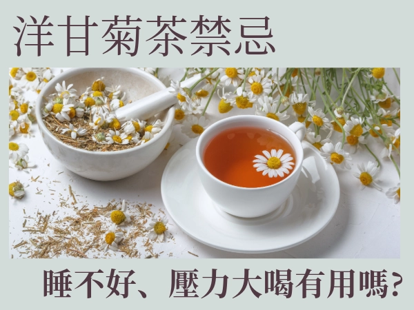 洋甘菊茶推薦茗玥堂｜洋甘菊茶禁忌？睡不好？壓力大？洋甘菊茶真的能改善嗎？