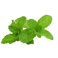 薄荷