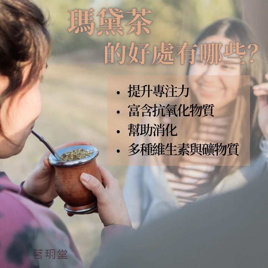 馬黛茶的好處