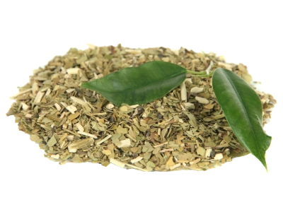 馬黛茶的樣子