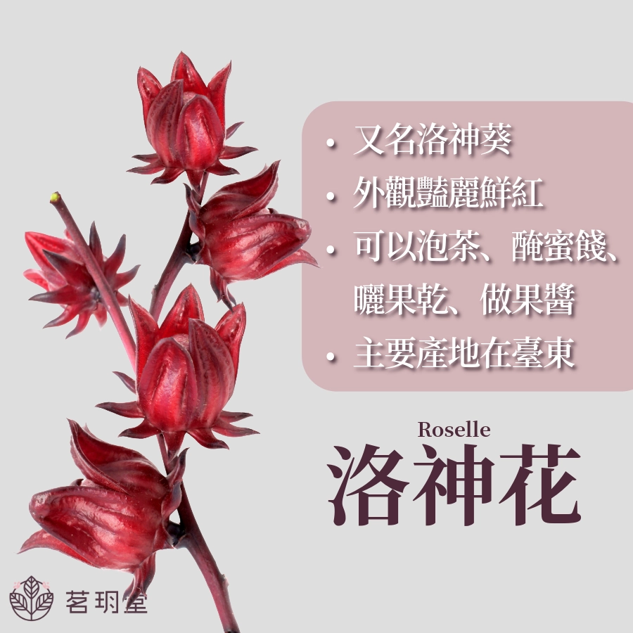 洛神花簡單介紹