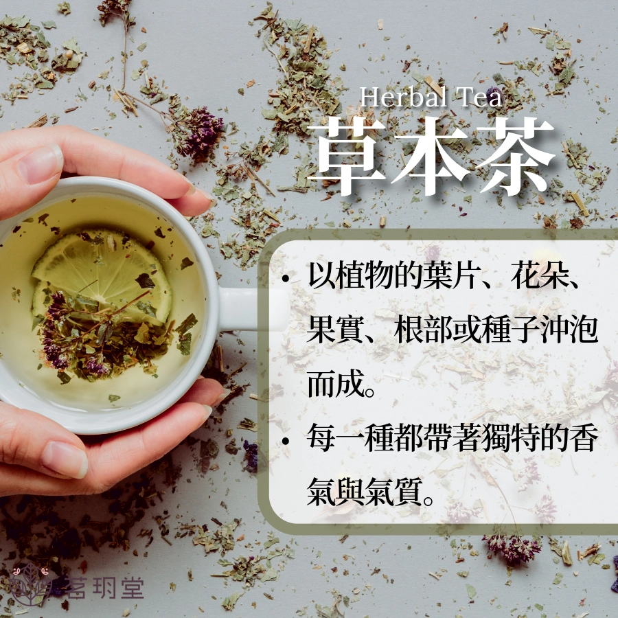 草本茶是什麼？
