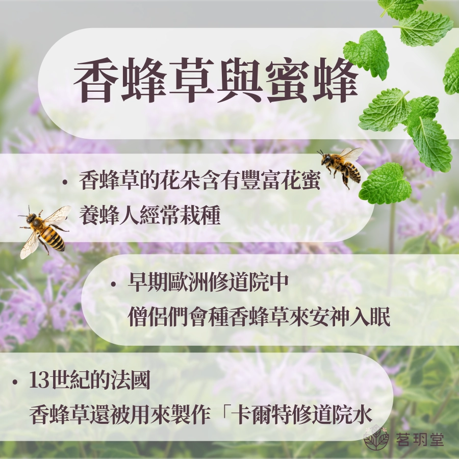 香蜂草與蜜蜂
