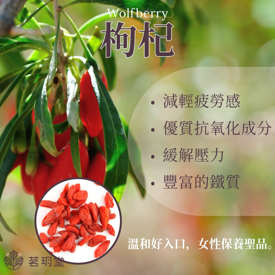 枸杞是什麼?