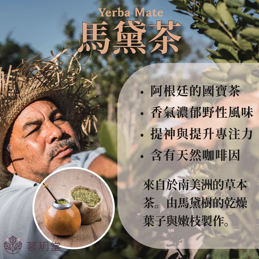 馬黛茶是什麼?