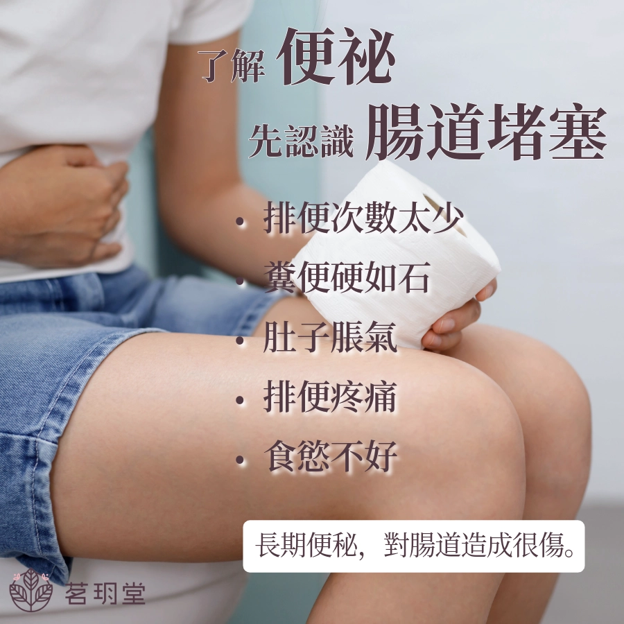 什麼是便祕?先認識這個「腸道堵塞」