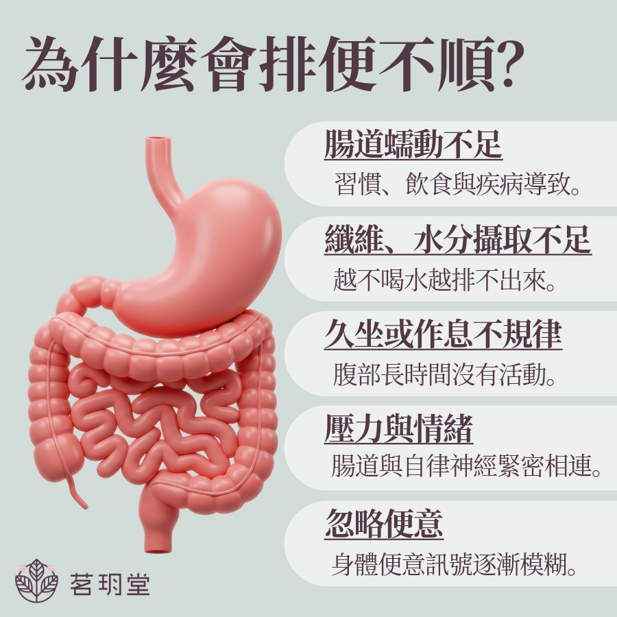 為什麼會排便不順?