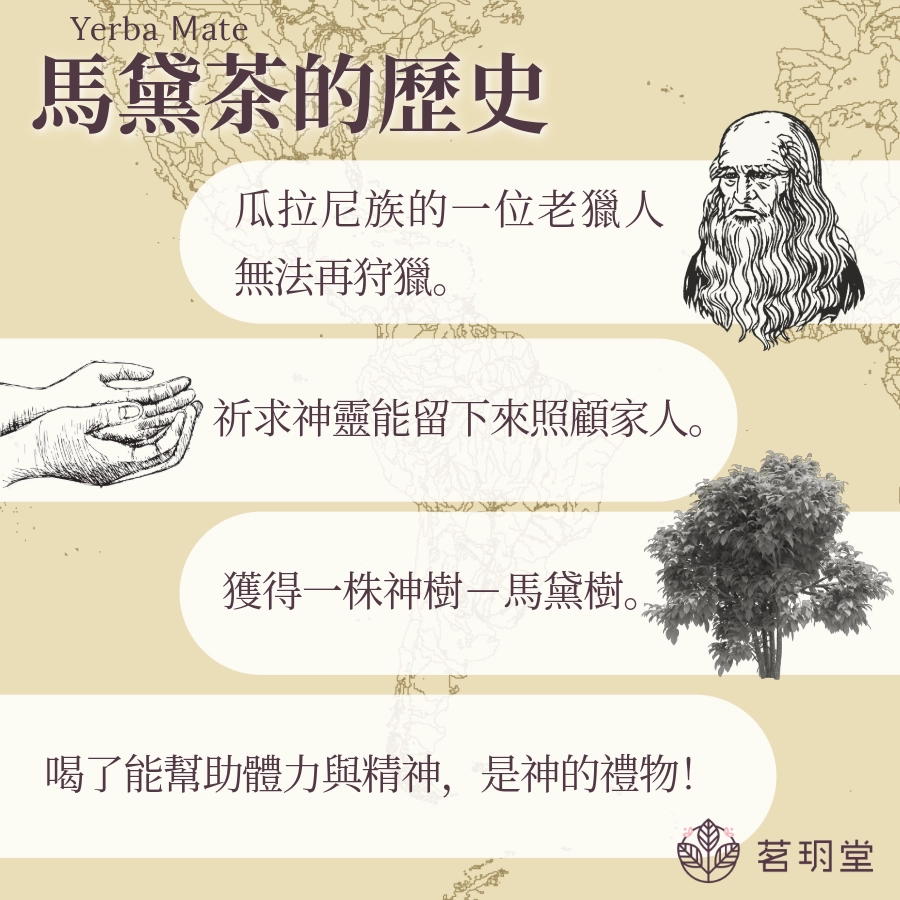馬黛茶的歷史故事