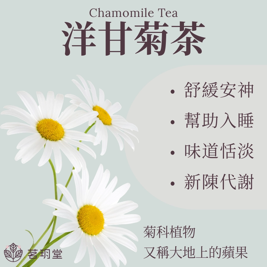 什麼是洋甘菊茶?