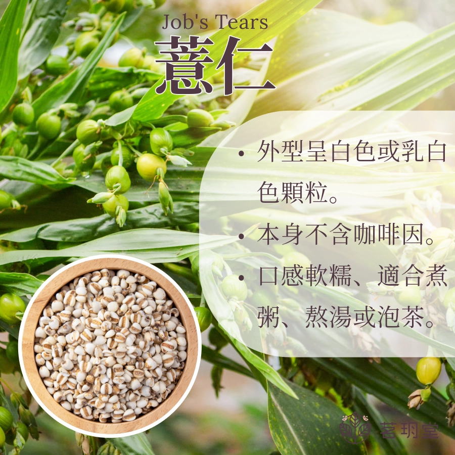 薏仁是什麼?