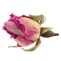 玫瑰花