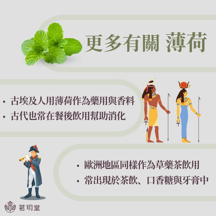 薄荷茶的文化與歷史