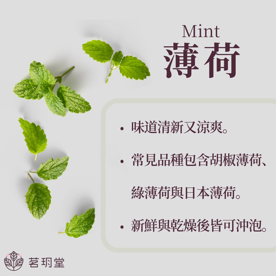 薄荷茶