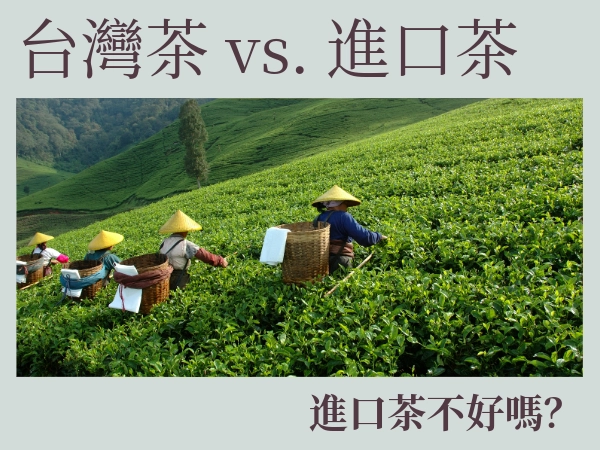 台灣茶 vs. 進口茶？進口茶不好嗎？台灣茶品牌排名