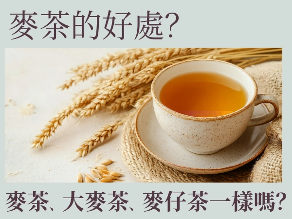 麥茶、大麥茶、麥仔茶一樣嗎？麥茶的好處？麥茶怎麼煮？