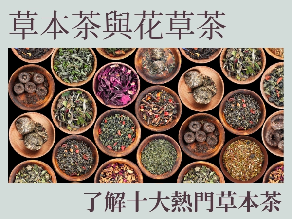 草本茶跟花草茶有什麼不同？熱泡 vs 冷泡？最受歡迎的草本茶推薦