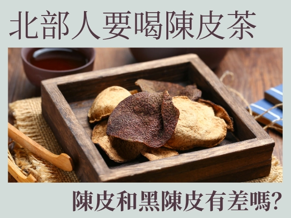 陳皮茶能排除體內濕氣？陳皮茶的5大好處、禁忌是什麼？｜茗玥堂好茶推薦
