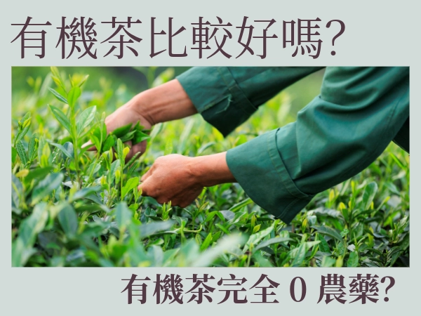有機茶真的比較好嗎？有機茶完全 0 農藥？有機茶推薦一次看
