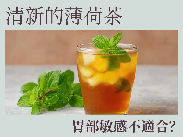 薄荷茶無咖啡因，6大好處不只助眠！怎麼泡？飲用薄荷茶有什麼禁忌？