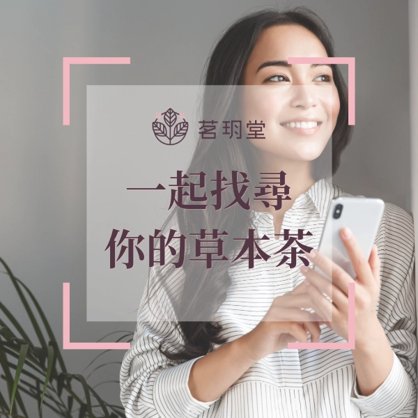 依草本茶種類找尋